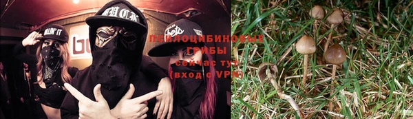 синтетический гашиш Алексин