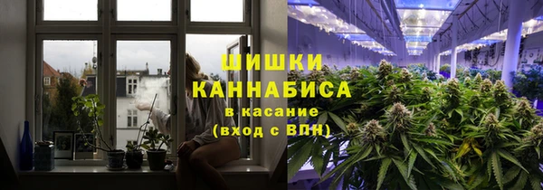 Альфа ПВП Лагань